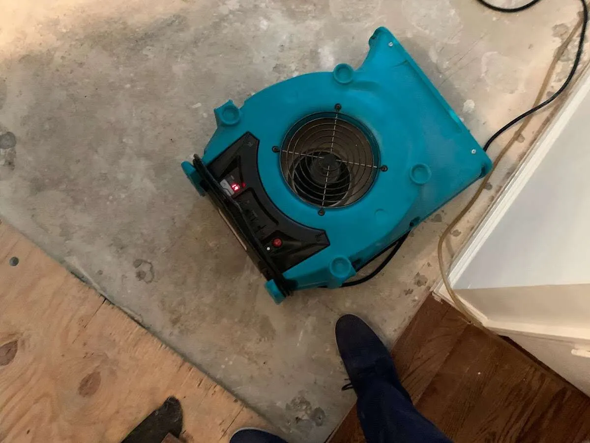 Air mover drying subfloor during Commercial Water Damage Restoration in Valencia West